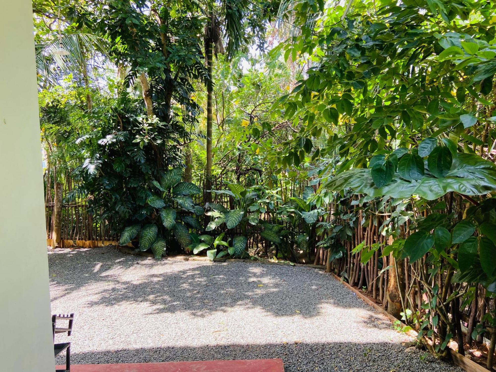 Leo Homestay Диквела Екстериор снимка