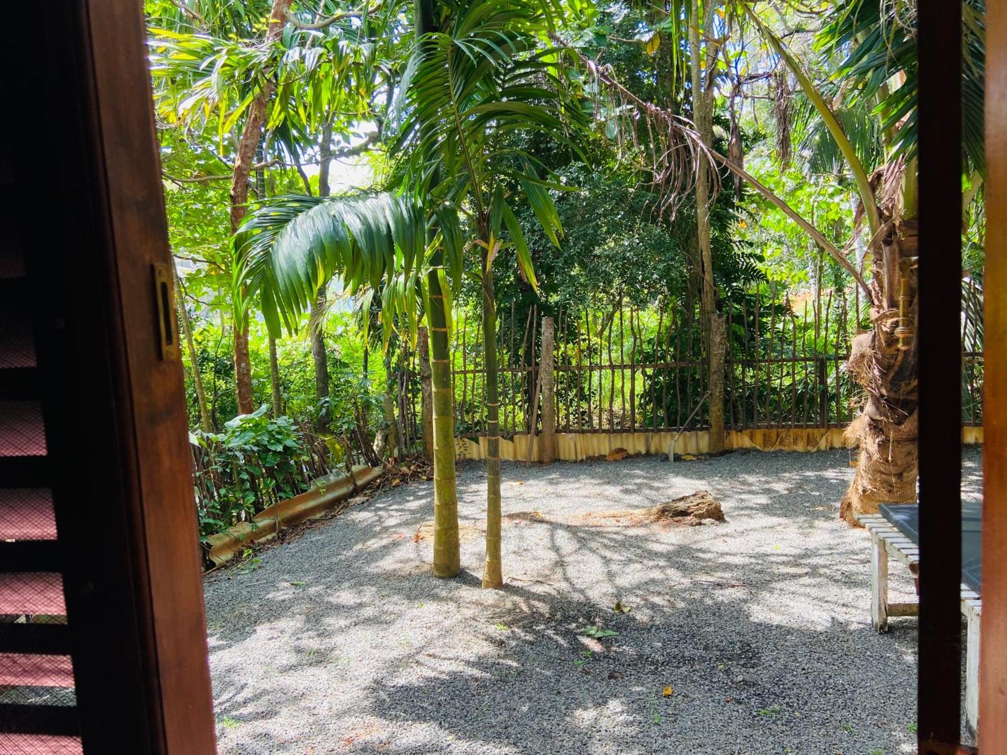 Leo Homestay Диквела Екстериор снимка