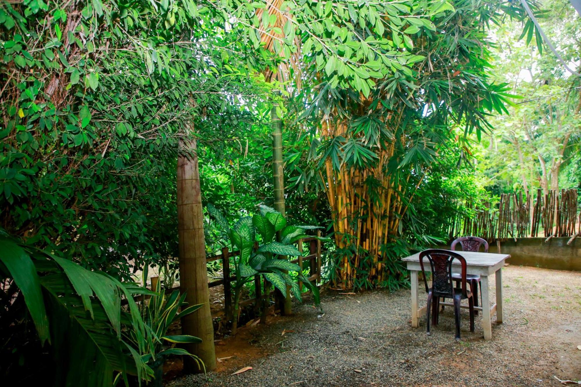 Leo Homestay Диквела Екстериор снимка